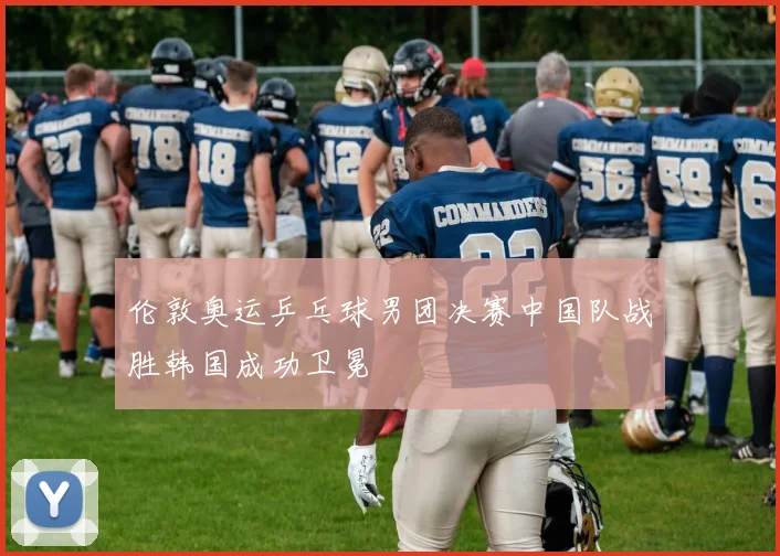 伦敦奥运乒乓球男团决赛中国队战胜韩国成功卫冕