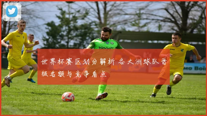 世界杯赛区划分解析 各大洲球队晋级名额与竞争看点