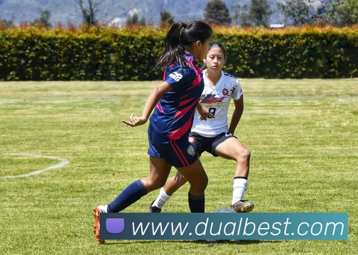 emc易倍官方官网品牌故事